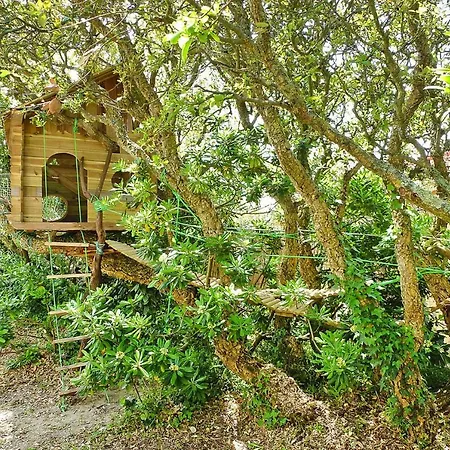 Semi-detached House Labenne-ocean - Sat02252-l Vakantiehuis