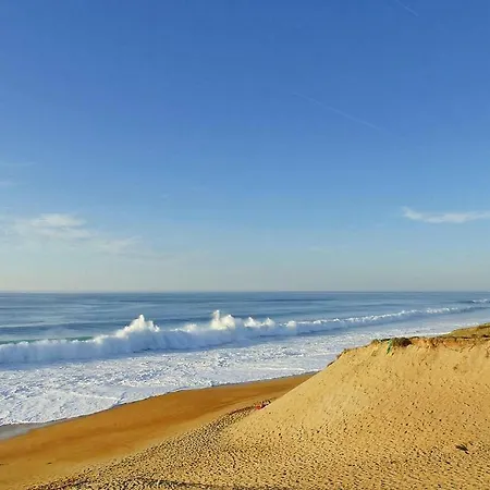 Semi-detached House Labenne-ocean - Sat02252-l Vakantiehuis Labenne